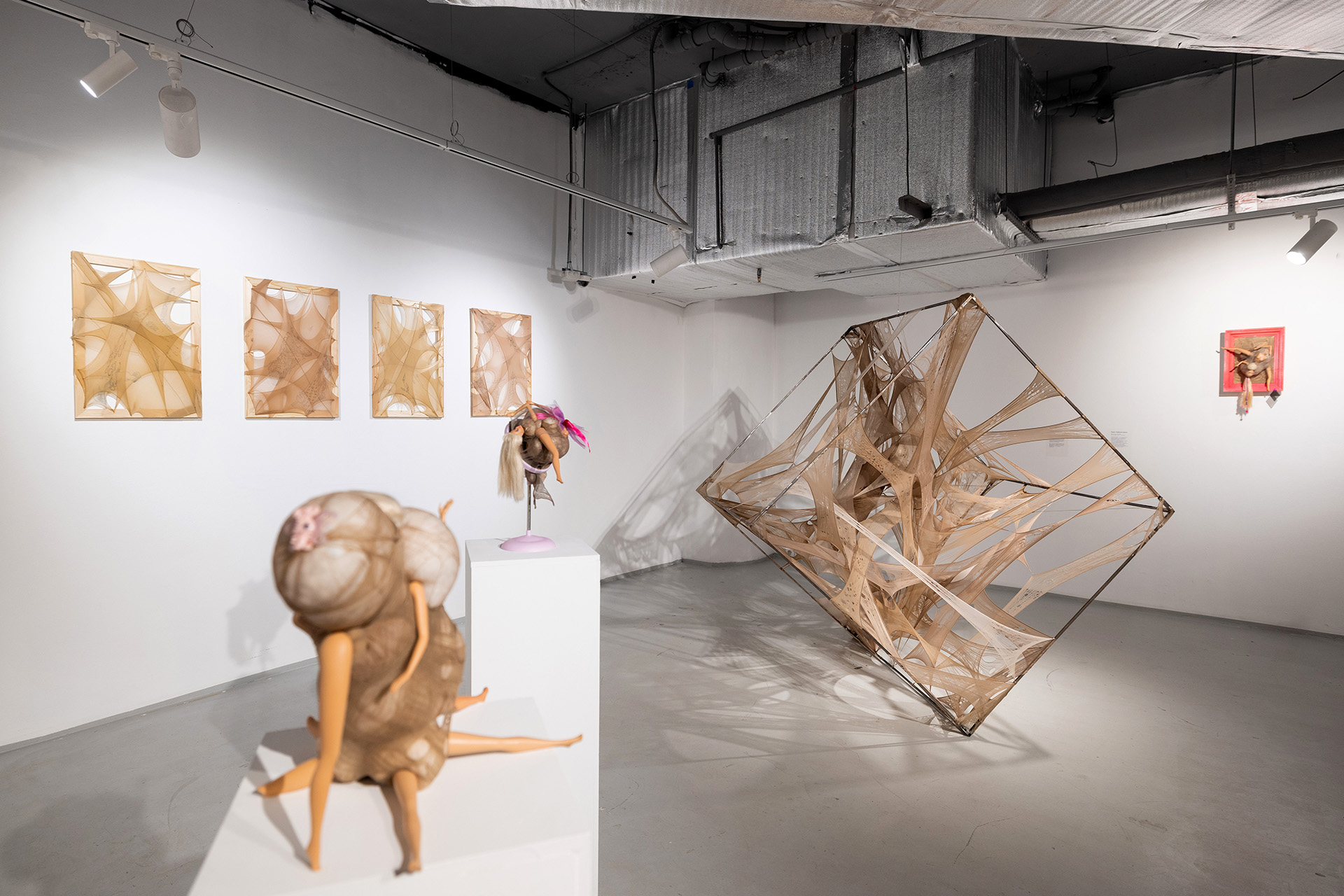 Экспозиция выставки Лены Суровой «Обратная сторона Венеры» в MSCA Gallery