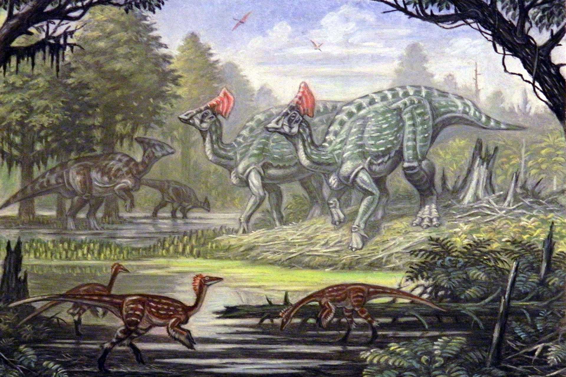 Динозавры Олоротитаны и Харонозавры. Олоританы обитали на современной территории России