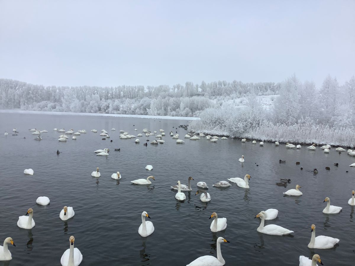 Фото: Екатерина Попова-Гамаюн