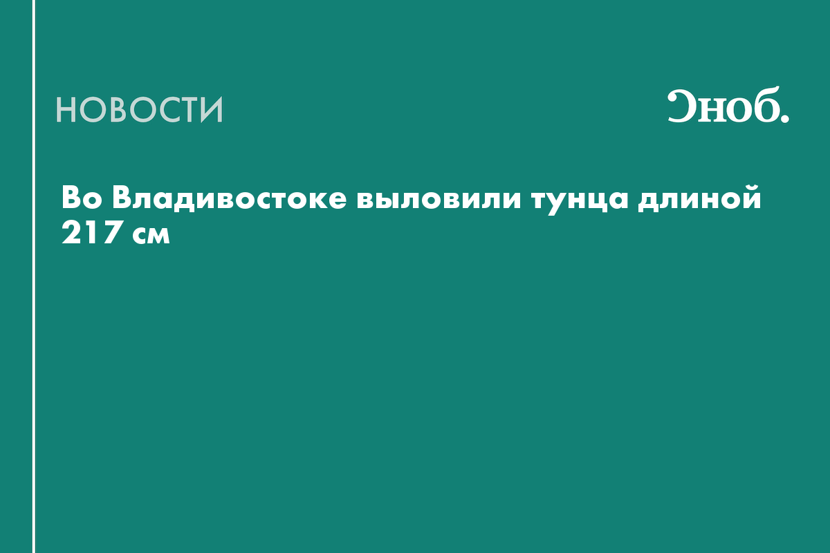 Во Владивостоке поймали рекордного для Дальнего Востока 217-сантиметрового тунца