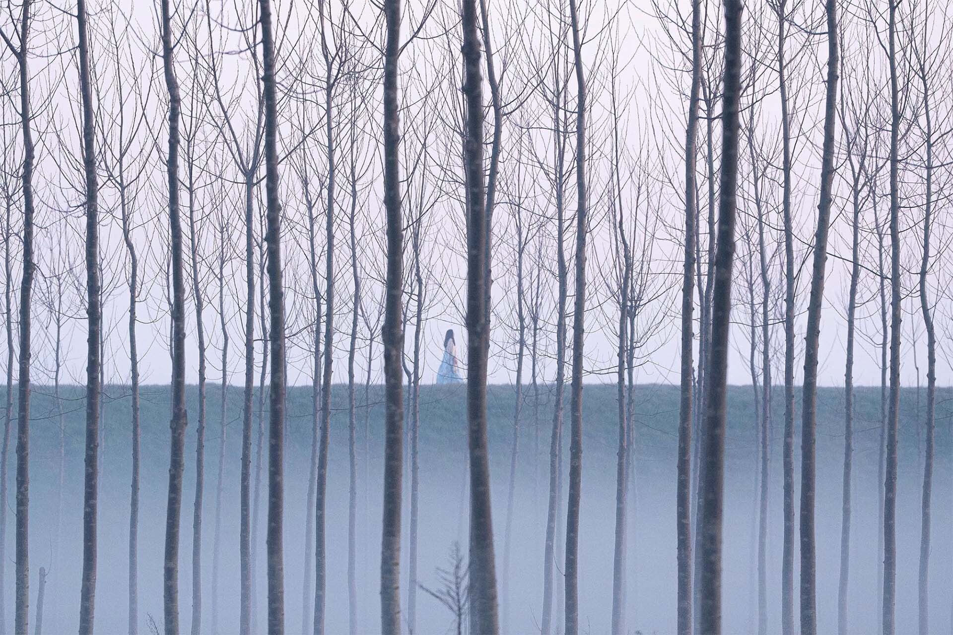 Кадр из фильма «Грация»