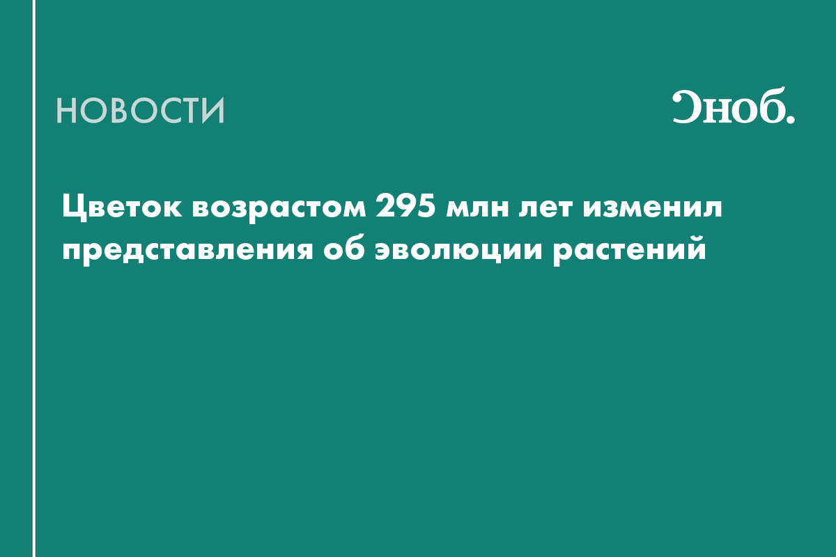 Цветок возрастом 295 млн лет изменил представления об эволюции растений