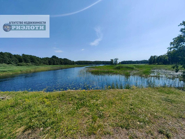 Остров в Финском заливе выставили на продажу за 200 млн рублей