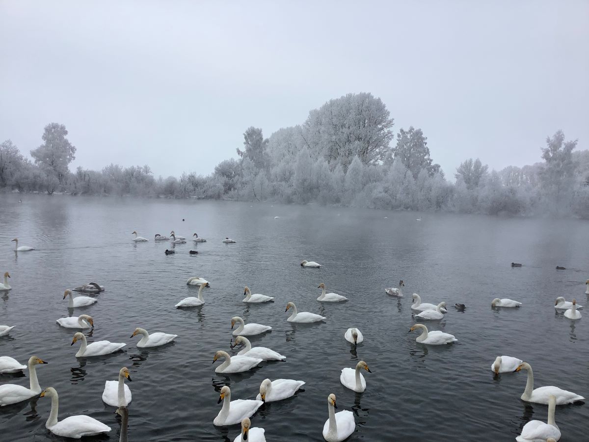 Фото: Екатерина Попова-Гамаюн