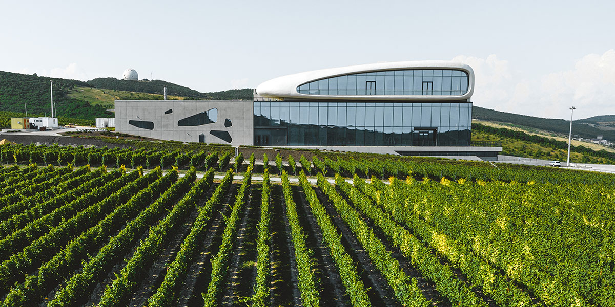 Стальная выдержка: 7 знаковых винных хозяйств Краснодарского края