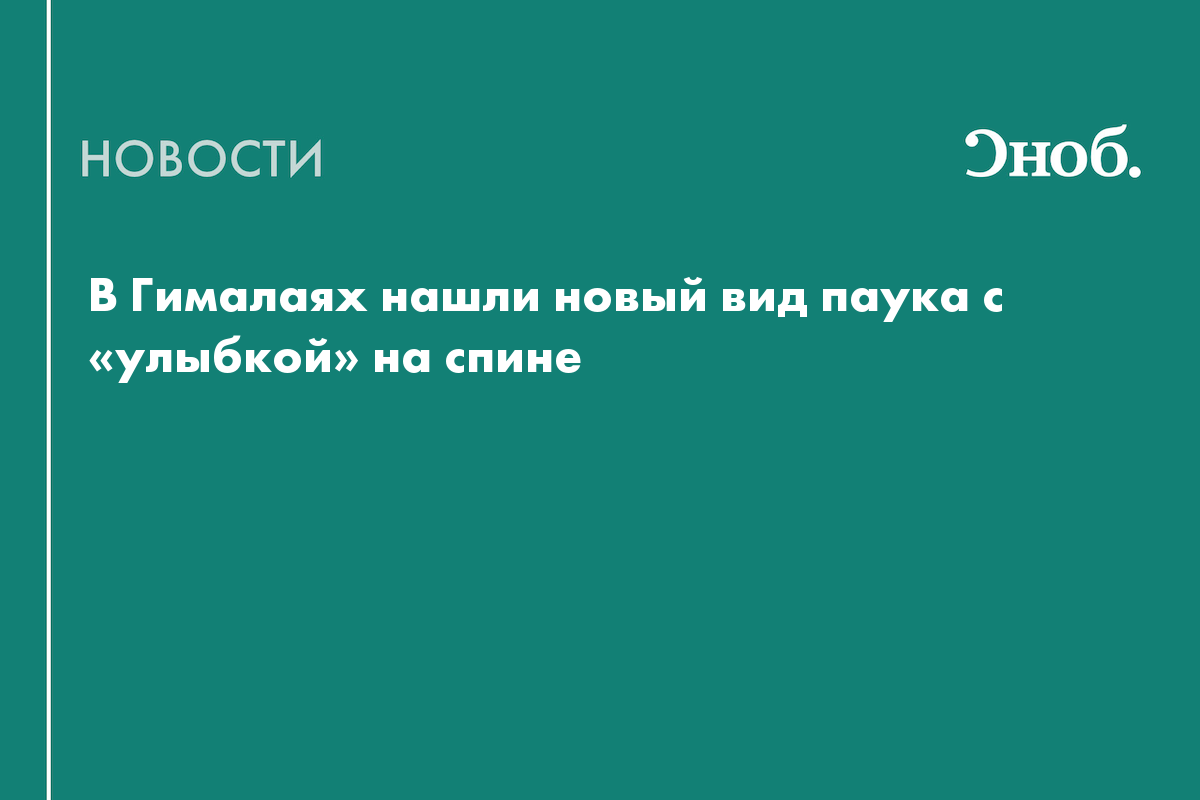 В Гималаях нашли новый вид паука с «улыбкой» на спине
