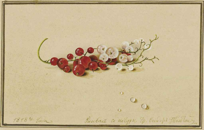 Фёдор Толстой. Ягоды красной и белой смородины. 1818 год