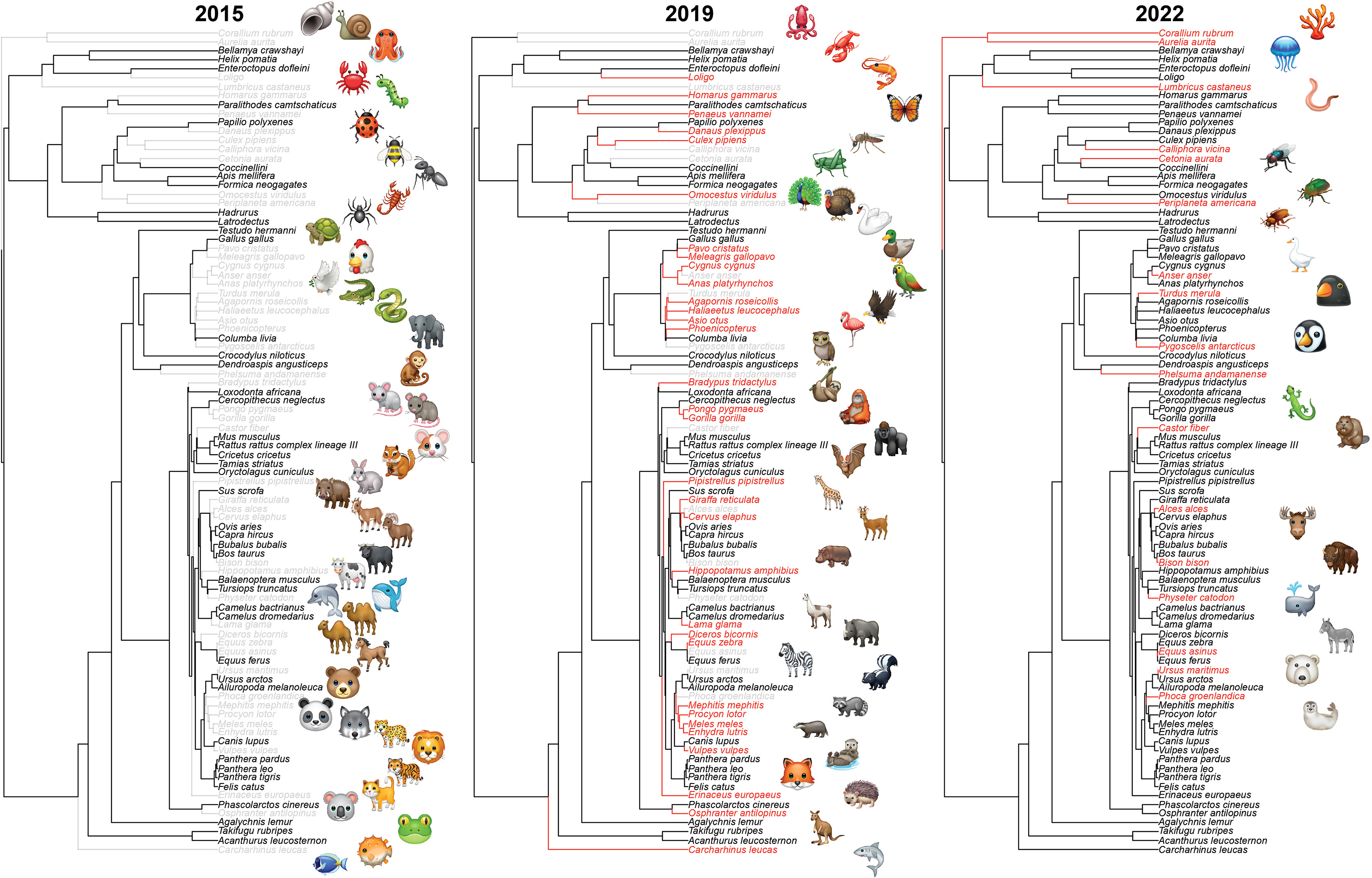 Филогенетическое дерево эмодзи в 2015, 2019 и 2022 годах