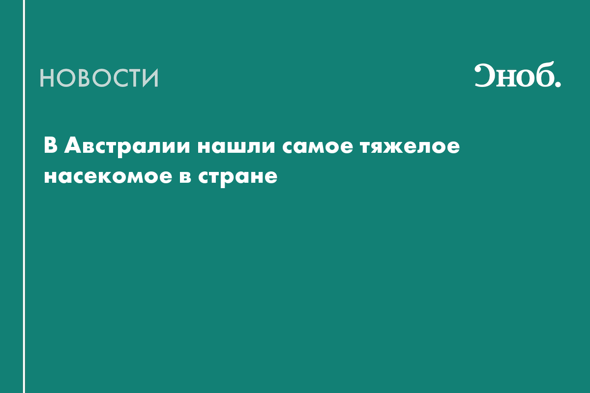 В Австралии нашли самое тяжелое насекомое в стране