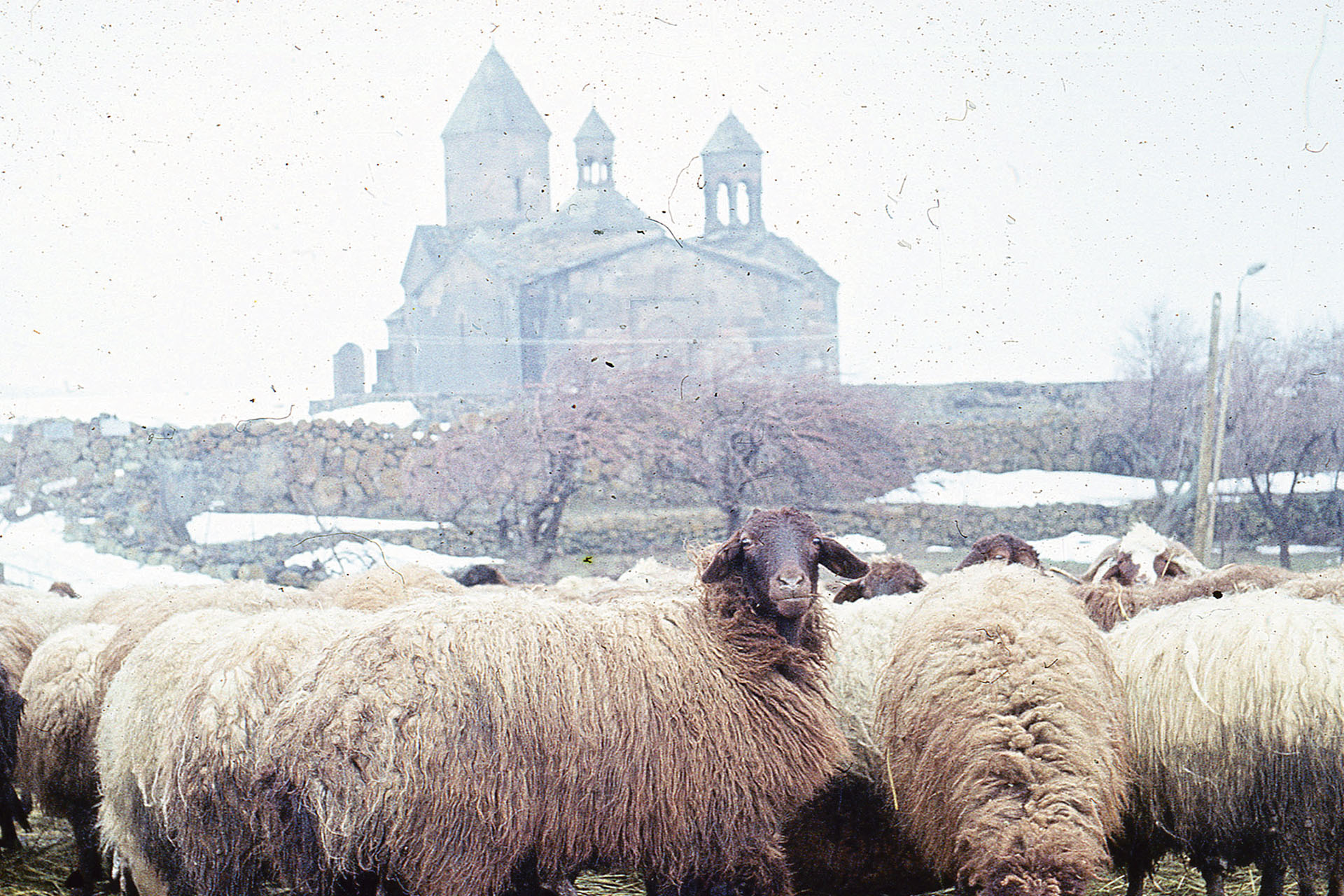 Весна, Армения, 1970‑е годы