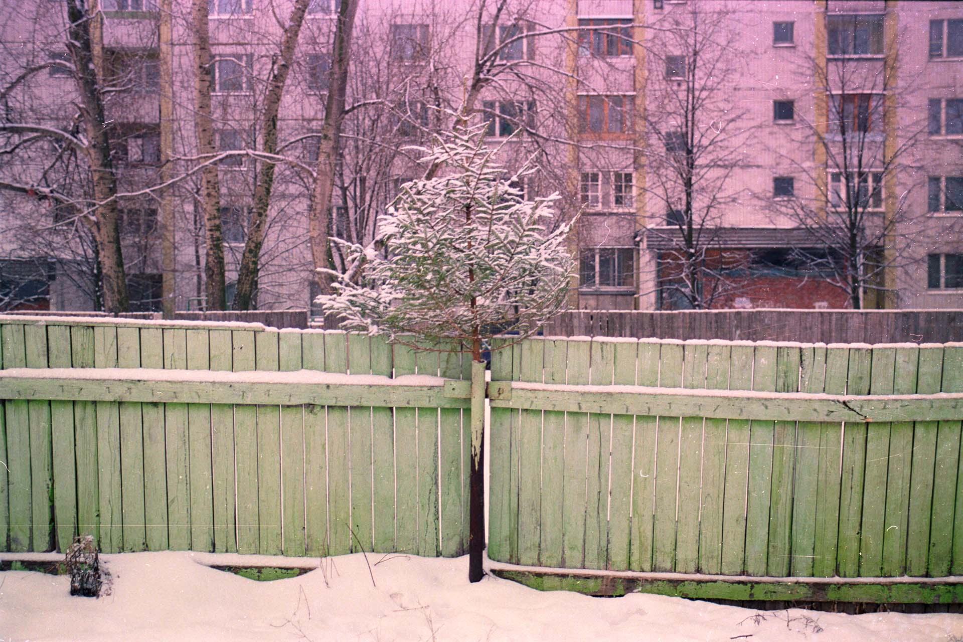 Леонид Тишков, Farewell to the Christmas Tree / «Прощание с новогодней елкой», 2000 год